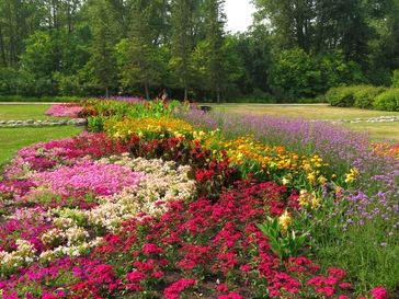 20250329-summernd.jpg