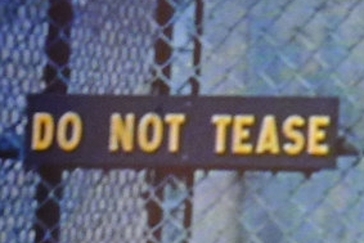 20250329-tease.jpg