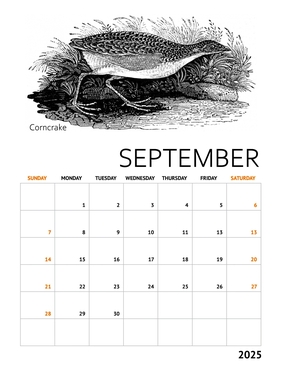 20250816-sept.jpg