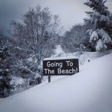 20251010-beachgoer.jpg 20251010-beachgoer.jpg