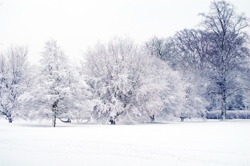 20251010-snowy.jpg 20251010-snowy.jpg