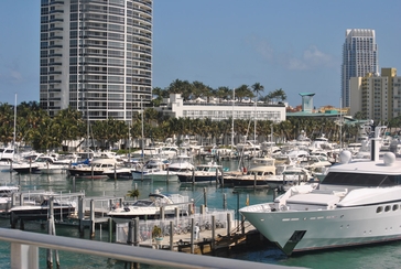 20251013-miamiharbor.jpg