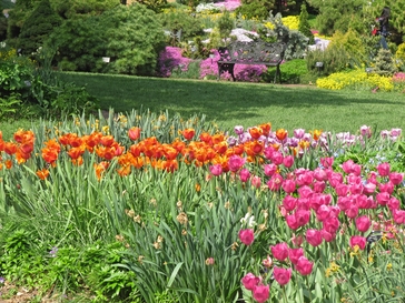 20251018-april2.jpg
