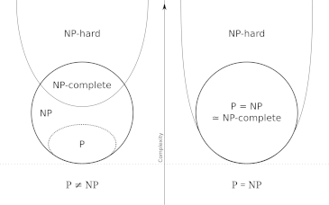 20251018-peqnp.jpg