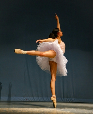 20251117-balletcc0.jpg 20251117-balletcc0.jpg