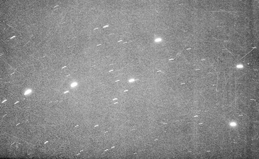 20251208-dipper3cc0.jpg 20251208-dipper3cc0.jpg