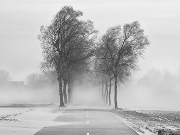 coldwindblowingcc2.x.jpg