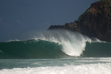 hawaiianwintercc2.x.jpg