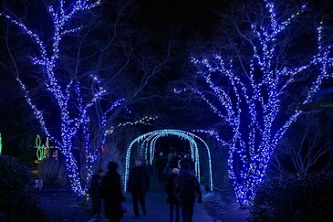 holiday2010-2cc2.x.jpg