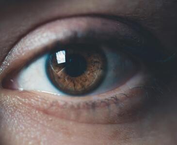 seeingiscc0.x.jpg