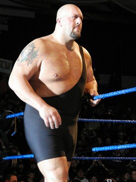 themaulercc4.x.jpg