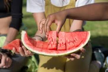 watermelonpicniccc0.x.jpg watermelonpicniccc0.x.jpg
